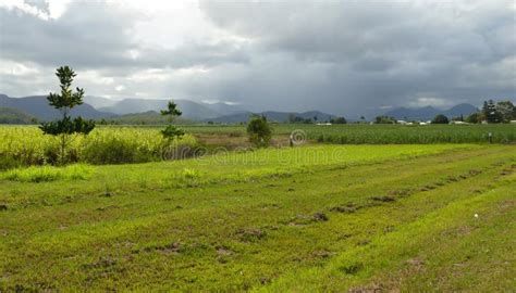 Farming land of india stock photo. Image of background - 24539896