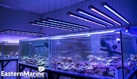 Orphek OR 120 Bar LED Bars at EasternMarine Aquariums | AquaNerd