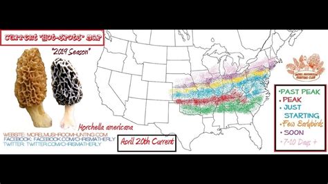 2019 morel progression maps automated thru april 30th - YouTube