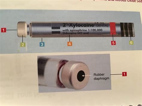 DA Ch. 20 Anesthetic Carpule & Needle ID Flashcards | Quizlet