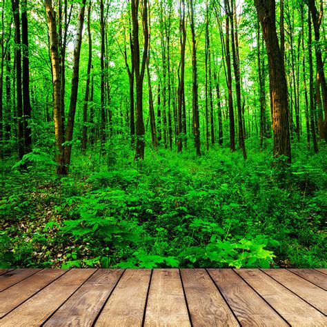 Forest Natural Wood Plank Backdrops Tree Photographic Backgrounds Photo ...