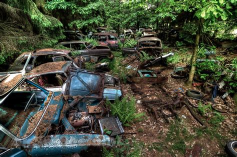 Forest Full of Abandoned Cars Photos | Image #6 - ABC News