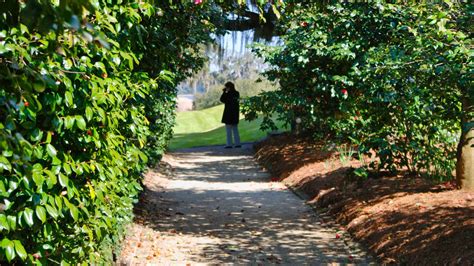 Middleton Place – Gardens Visitor