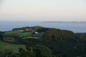 Matakana, NZ and the surrounding area - some info and tips! - Somewhere Slower