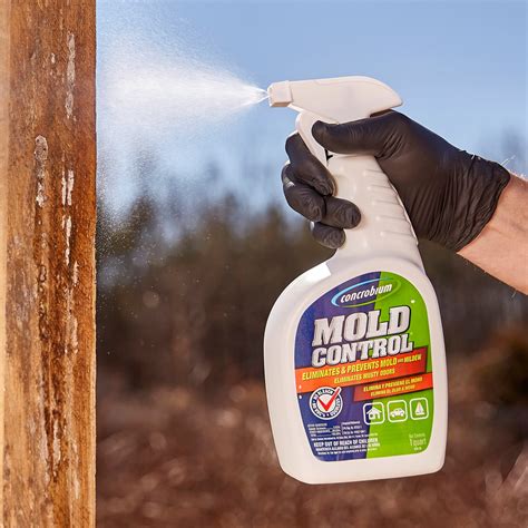 Black Mold Killer Spray | informacionpublica.svet.gob.gt