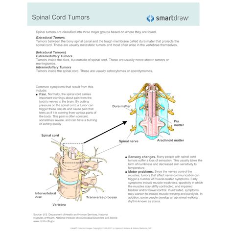 Spinal Cord Tumors