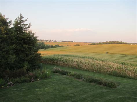 Garden Fancy: Corn Harvest