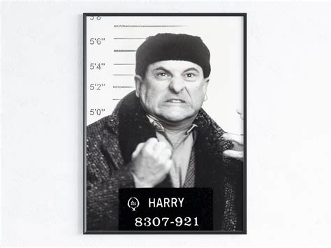 Harry Mugshot Home Alone Movie Wall Print / Harry & Marv Home - Etsy