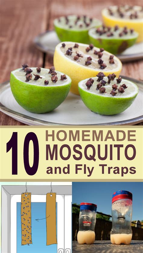 10 Ingenious DIY Mosquito and Fly Traps | Mosquito trap diy, Homemade fly traps, Fly traps