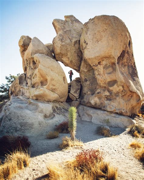 Top 8 Rock Formations - Joshua Tree National Park — Flying Dawn Marie ...