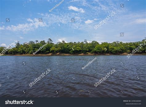 Beautiful Landscape Amazon Rainforest Amazonas Brazil Stock Photo ...