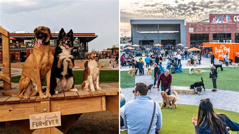 Bar K 'experiential' dog parks moving headquarters to Arizona