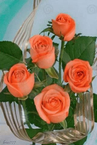 Orange Roses GIF - Orange Roses GIFs | Orange rosen, Schöne blumen bilder, Schöne blumen