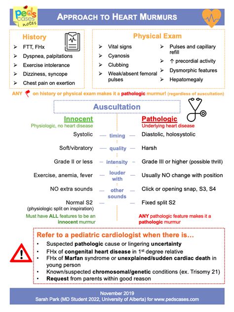 Heart murmur antibiotics