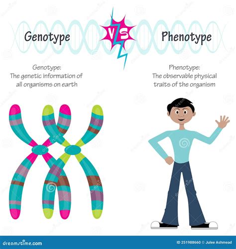 Genotypes Cartoons, Illustrations & Vector Stock Images - 28 Pictures to download from ...