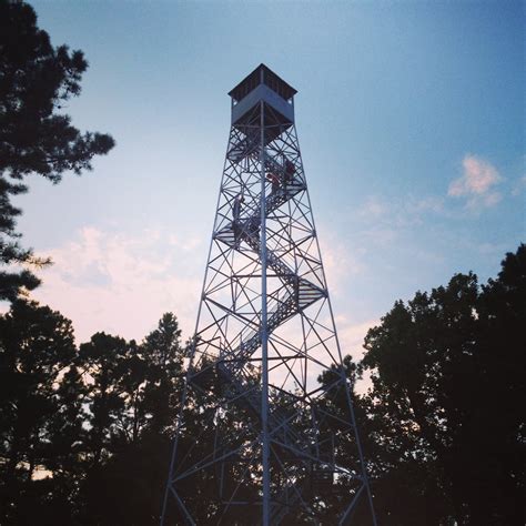 Devil's Broom: The Fire That Inspired a National Network of Lookout Towers - 99% Invisible