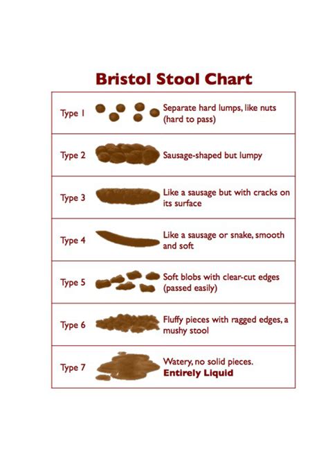 adult human poop chart stool color - what do the different poop colors and shapes mean 2023 ...