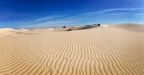 Monahans Sandhills State Park - Texas - TravelSages