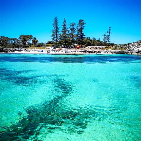 All You Need to Know to Visit Rottnest Island With Kids in Western Australia