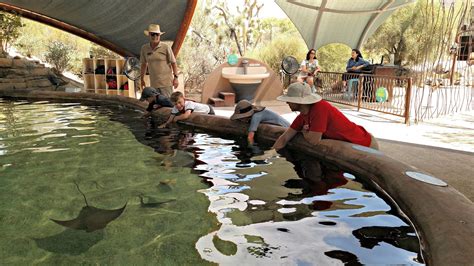 Two Bears Farm and the Three Cubs: Arizona-Sonora Desert Museum