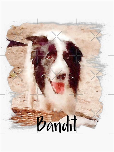 "Bandit " Sticker for Sale by DNiceGirl | Redbubble