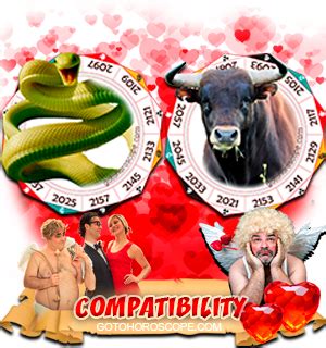 Snake Man And Ox Woman Love Compatibility - Snake Poin