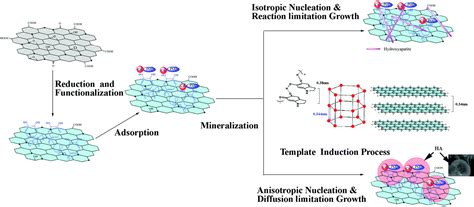 Facile and controllable synthesis of hydroxyapatite/graphene hybrid materials with enhanced ...