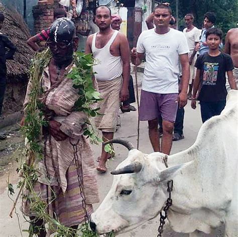 To vet? No bar for cow thugs - Telegraph India