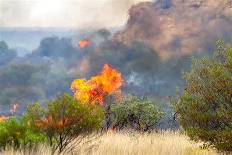 Where Are The Fires In Australia? A Breakdown Of The Areas Affected