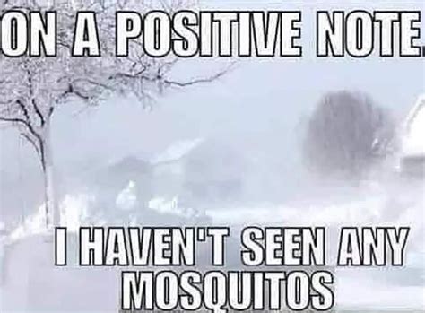 35 Hilarious Texas Winter Memes That Perfectly Capture Cold Weather Chaos | Weather quotes ...