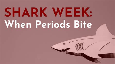 June 2019: Shark Week - Bangor, Maine - Mabel Wadsworth Center