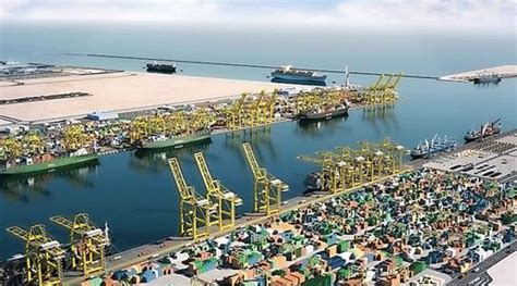 MSC first to call at Hamad Port Container Terminal - Maritime, Hamad ...