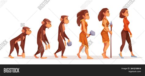 Human Evolution Monkey Image & Photo (Free Trial) | Bigstock