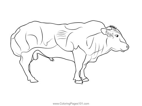 Belgian Blue Bull Coloring Page for Kids - Free Belgium Printable Coloring Pages Online for Kids ...