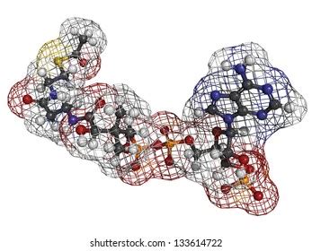 93 Biochemical pathway Images, Stock Photos & Vectors | Shutterstock