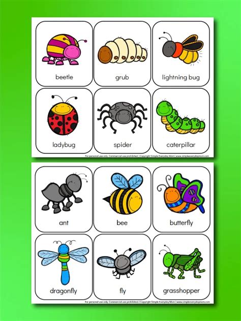 Printable Preschool Bug Activities For Kids