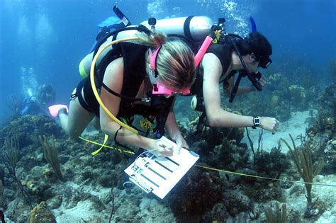 Schools Offering the Best Marine Biology Graduate Programs