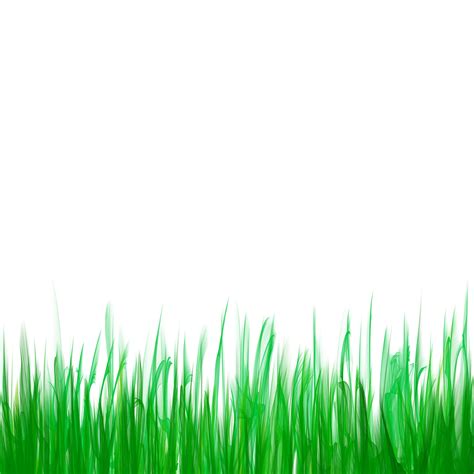 Free Stock Photo 9441 digital grass | freeimageslive