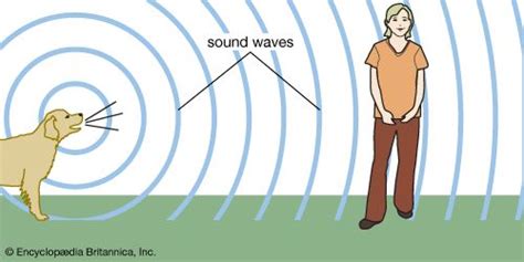 Sound Wave Diagram For Kids