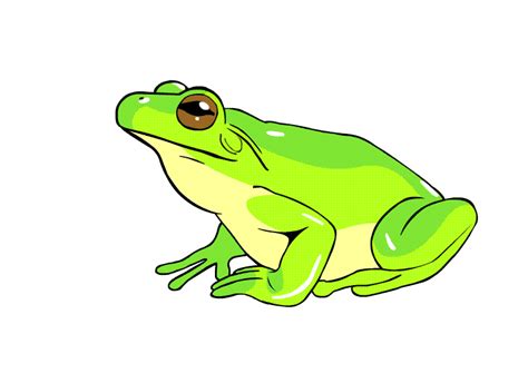 List Of Animated Gif Frog Jumping 2022