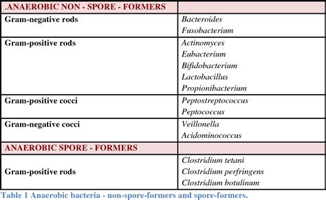 Anaerobic Vs Aerobic Bacteria List