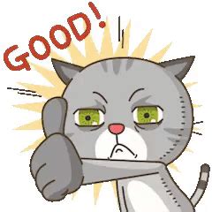 Cat Thumbs Up GIF - Cat Thumbs up Good - Discover & Share GIFs