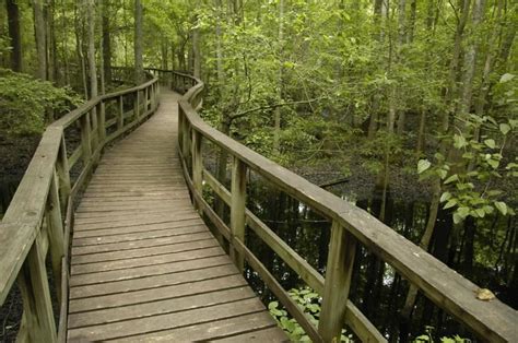 Congaree National Park