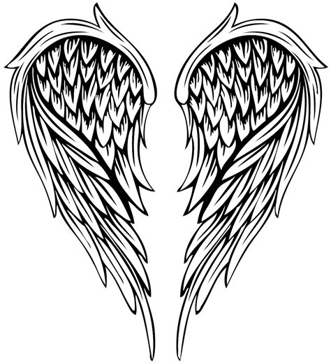 Drawing Illustration - Vector painted feather angel wings png download - 1205*1325 - Free ...