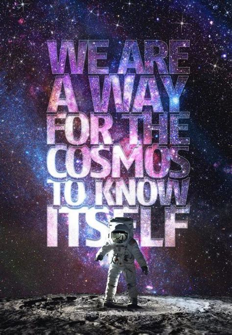 Cosmos Quotes Inspirational. QuotesGram