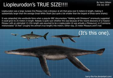 Explore the Best Liopleurodon Art | DeviantArt