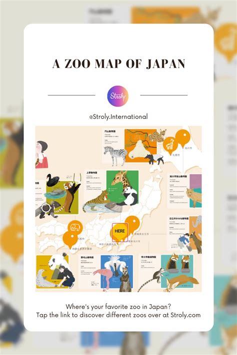 A Zoo Map of Japan | Zoo map, Map, Zoo