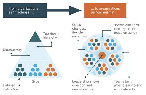 Complexity Theory: over complexiteit in organisaties & Agile