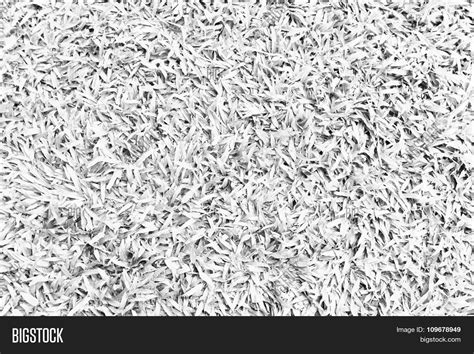 White Grass Texture Image & Photo (Free Trial) | Bigstock