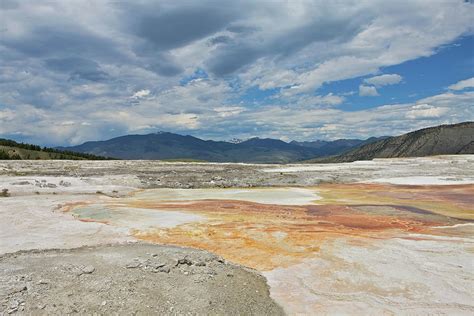 Sulphur Springs, Yellowstone National by George Brits